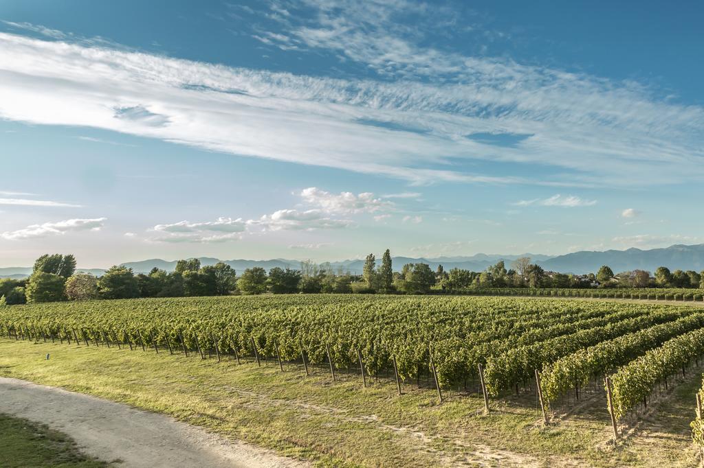 Cascina Borghetta Villa Sirmione Eksteriør bilde